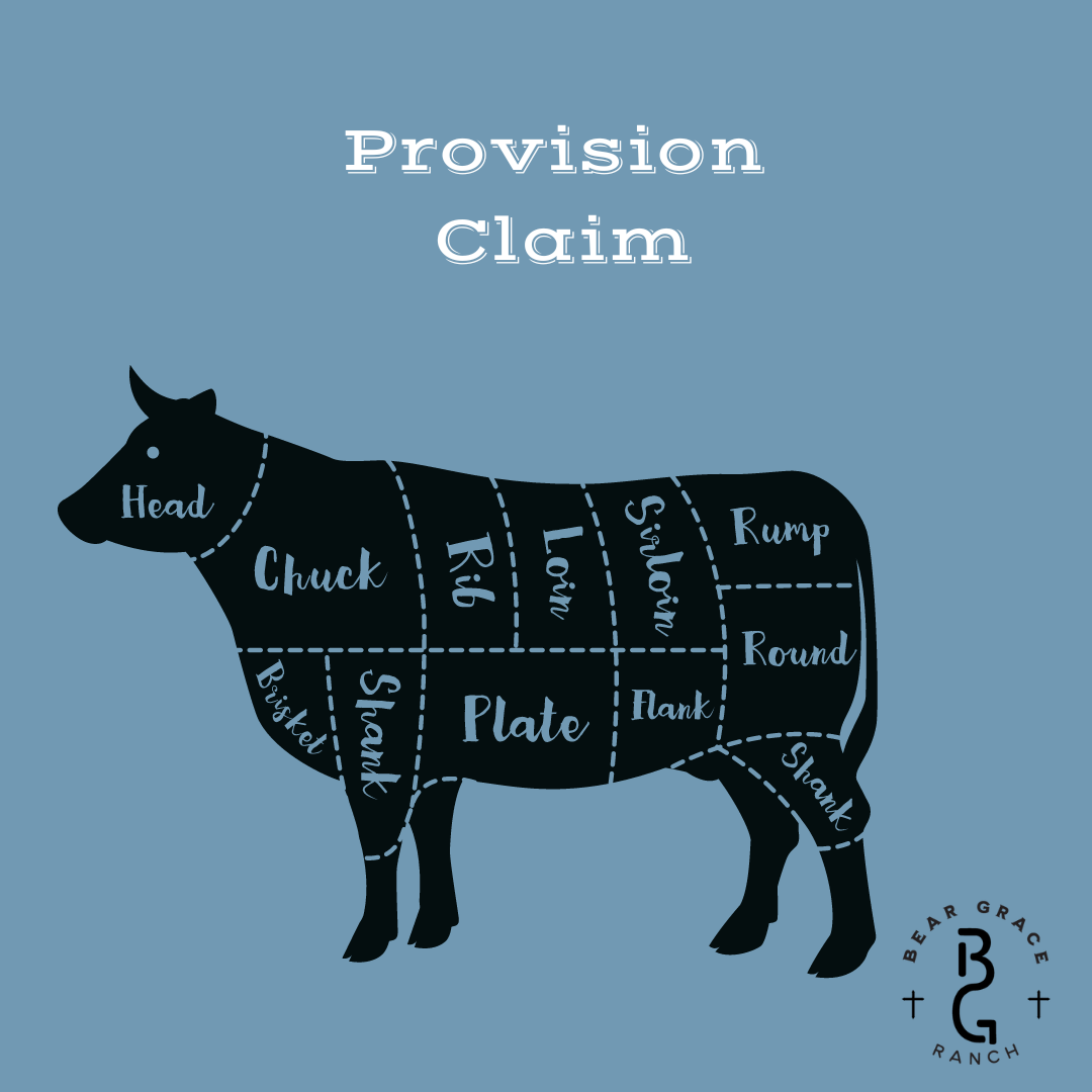 Provision Claim